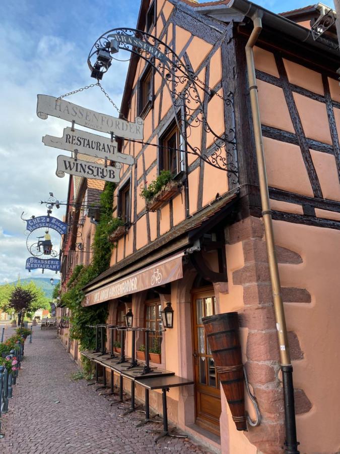 Appartement Le Keiler Kaysersberg-Vignoble Buitenkant foto